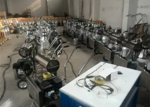 220 Volt Removable One Cow Milking Machine With Single Bucket , Customized