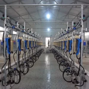 Parallel Quick-Release Automatic Milking Parlour with Waikato Milk Flow Meter