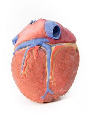 Heart - Image 2