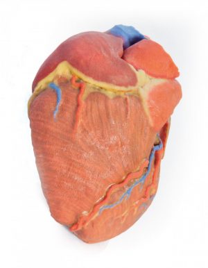 Heart - Image 5