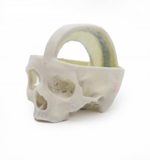 Dural Skull MA01159 - Image 3