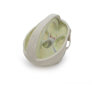 Dural Skull - Image 4