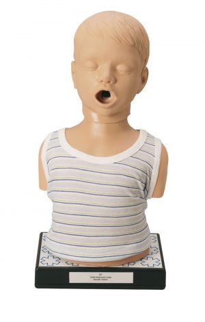 Child Heart and Lung Sounds Auscultation Trainer