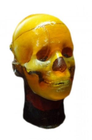 Configure Your Own Head Phantom for MRI CT and Ultrasound