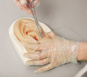 Episiotomy and Perineal Laceration Trainer - Image 2