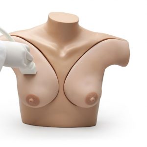 Breast Phantom Simulator