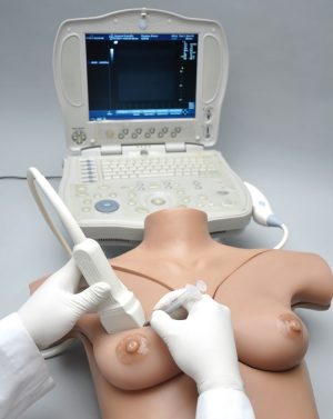 Breast Phantom Simulator - Image 3