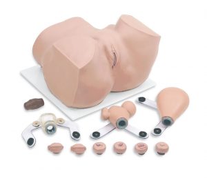 Gynecological Training Manikin