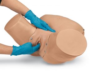 Advanced Pelvic Examination and Gynecological Simulator - Image 2