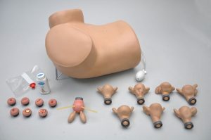 GYN AID Gynaecological Simulator - Image 3