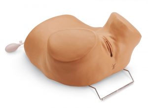 GYN AID Gynaecological Simulator
