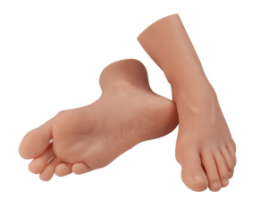 Foot Replica for Nursing Practice
