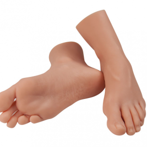 Foot Replica for Nursing Practice