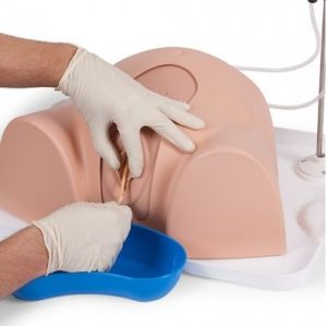 Advanced Catheterisation Trainer - Image 2