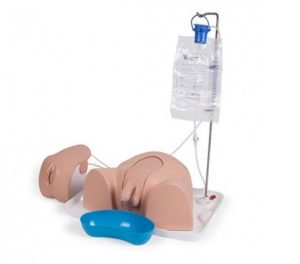 Advanced Catheterisation Trainer