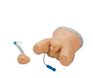 Infant Male and Female Catheterisation Trainer