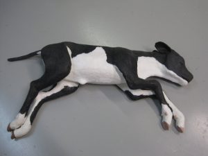 Dystocia Calf Model - Image 3
