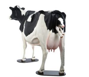 Holstein Model Dystocia Simulator
