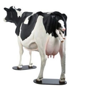 Holstein Model Dystocia Simulator
