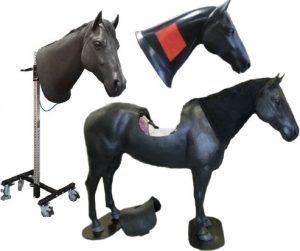 Equine Palpation Colic Simulator with Equine Neck Venipuncture and Intramuscular Injection - Image 4
