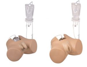 Bladder Catheterization Simulator Set Male and Female