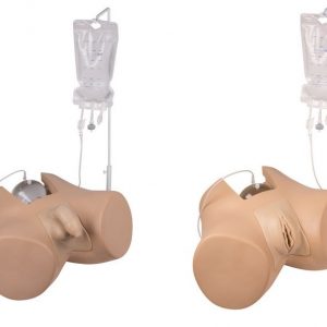 Bladder Catheterization Simulator Set Male and Female