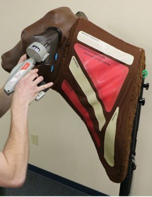 Bovine Vascular Access Simulator - Image 3