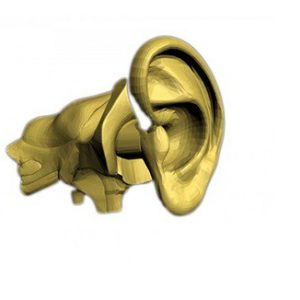 Ear Phantom for Calibration Equipment for Noise Reduction