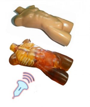 Adult Human Torso for Ultrasound Training with FAST & Emergency Training & Included Pathologies