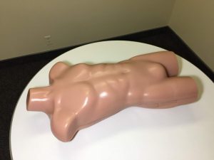 USG Simulator Torso for Ultrasonography Basic Version Opaque - Image 3