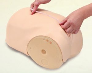 Uterine Involution Assessment Simulator - Image 2