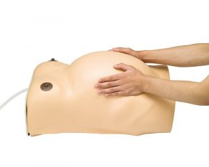 Pregnancy Examination Model with Heartbeat Simulation - Image 2