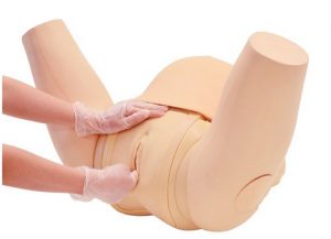 Cervical Assesment and Fetal Position Simulator