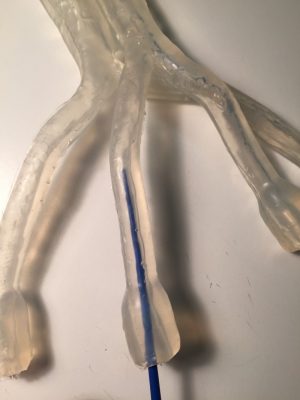 Adult Heart Transparent - Image 4