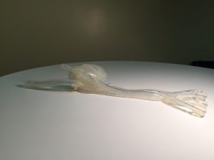 Adult Heart Transparent - Image 6
