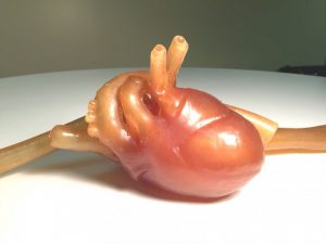 Adult Heart Red - Image 3