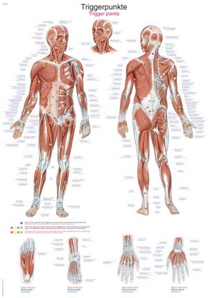 Chart Trigger Points