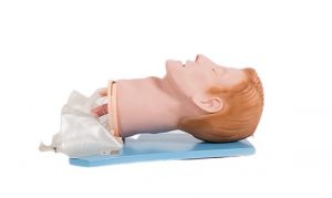 The Phantom of an Adult's Head for Endotracheal Intubation