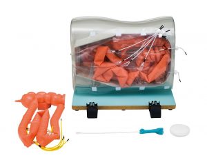 Optional Small Intestine Extension Semi-difficult version for Colonoscopy Simulator