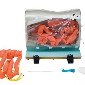 Optional Small Intestine Extension Semi-difficult version for Colonoscopy Simulator