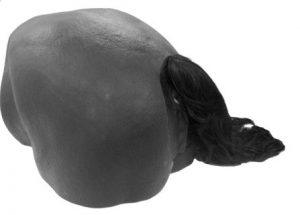 Equine Theriogenology Model - Image 2