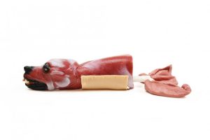 Canine Airway Trainer Basic