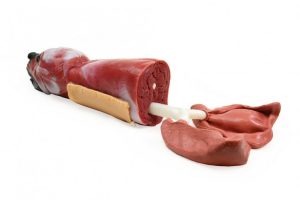 Canine Airway Trainer Deluxe - Image 2