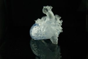 Transparent Reproduction of a Real Human Heart - Image 2