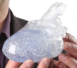 Transparent Reproduction of a Real Human Heart - Image 4