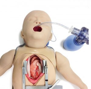 Surgical Pediatric Simulator with a Cardio Thoracic Module - Image 2