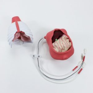 Pediatric Phantom for General Surgery - Image 5