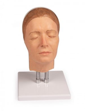 Face Injection Simulator Version A