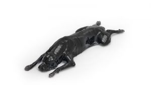 Canine Phantom for Computed Tomography and X-ray
