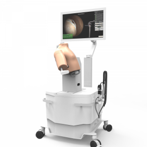 ArthroS™ High fidelity Simulator for Learning Shoulder Arthroscopy